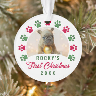 Ornamento Cachorro de Cachorro Personalizado Primeiro Foto d