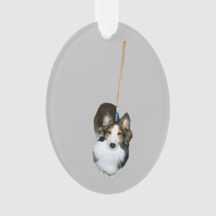 Ornamento Cachorro Esfregão