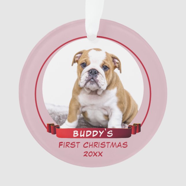 Ornamento Cachorro Rosa-Gelado, Foto De Cachorro De Natal De (Frente)