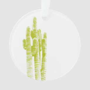 Ornamento Cactus Photo Art I Love Arizona Desert Modern Dive