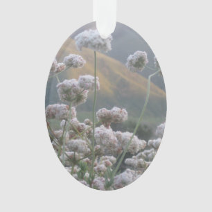 Ornamento California Bucktrigo
