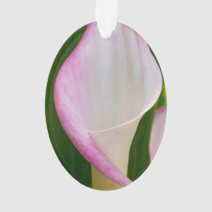 Ornamento Calla Pano