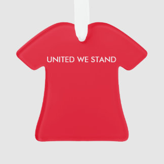 ORNAMENTO CAMISA DE SUSPENSÃO DE T