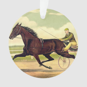 Ornamento Campeão Sulky SUPERIOR