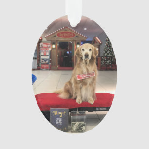 Ornamento Cão de Natal - Maravilha