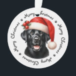 Ornamento Cão de Papais noeis de máscara de Natal em quarent<br><div class="desc">Adicione um pouco de humor a esses anos quarentena e pandemia com este adorável Black Labrador Papai noel Dog vestindo um ornamento de máscara que diz ... . Tudo que quero para o Natal é mostrar meus dois dentes da frente. Personalize as costas com nome e ano. Este enfeites de...</div>