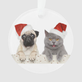 Ornamento Cão e gato no chapéu vermelho do Natal