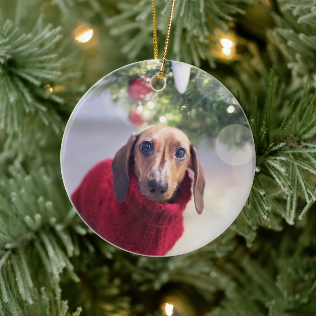 Ornamento Cão Memorial Cerâmica (Árvore)