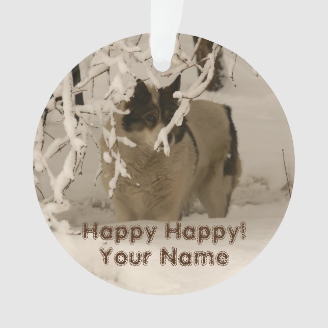 Ornamento Cão no inverno (Frente)