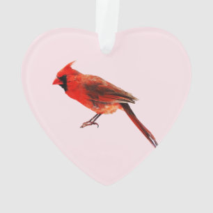 Ornamento Cardeal(s)