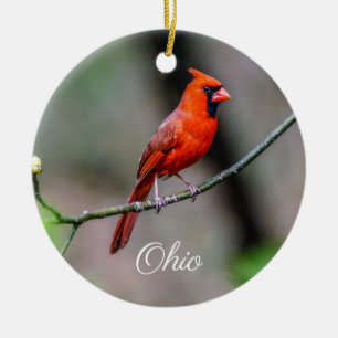 Ornamento cardinal de Ohio