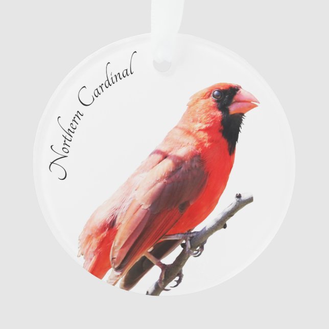 Ornamento Cardinal do norte (Frente)