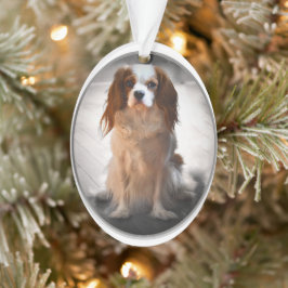 Ornamento Cavalier King Charles Spaniel