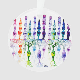Ornamento Células de cone e neurônios bipolares da retina