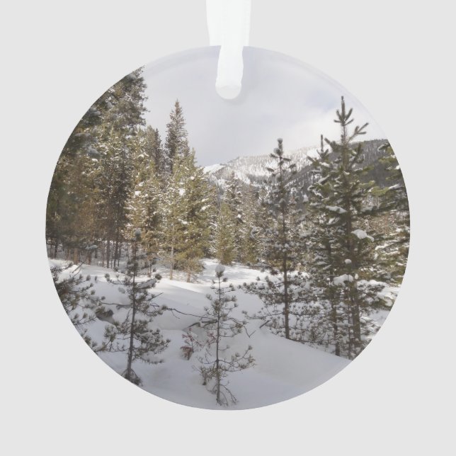Ornamento Cena da Montanha Snowy de inverno em Montana (Verso)