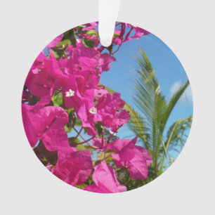 Ornamento Cena da Natureza Tropical de Bougainvillea e Palm