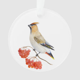 Ornamento Cera de aves da floresta aquosa