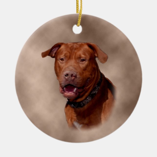 Ornamento cerâmico da árvore de Natal (Frente)