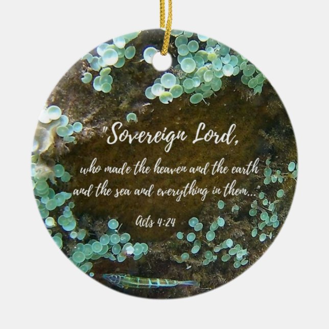 ornamento cerâmico das águas antigas (Frente)