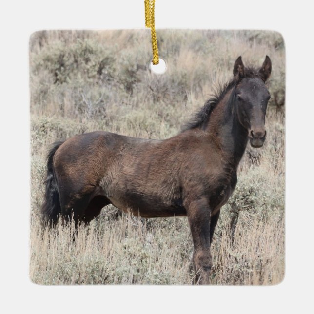 Ornamento Cerâmico de Cavalos Selvagens de Lava-Ar (Frente)