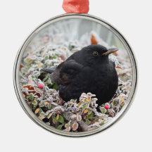 Ornamento cerâmico de Winter Blackbird
