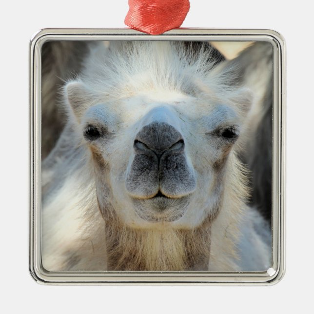 Ornamento Cerâmico K2 (Frente)