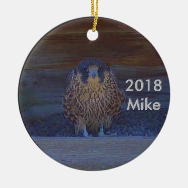 Ornamento Cerâmico Mike 2018 (Frente)