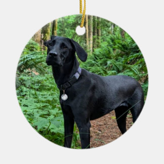 ornamento cerâmico personalizável