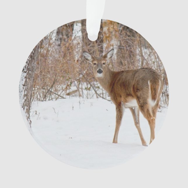 Ornamento Cervos do fanfarrão do botão no campo nevado (Frente)