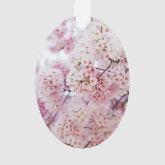 Ornamento Cherry Blossoms