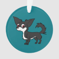 Chihuahua branca & preta com cabelo longo