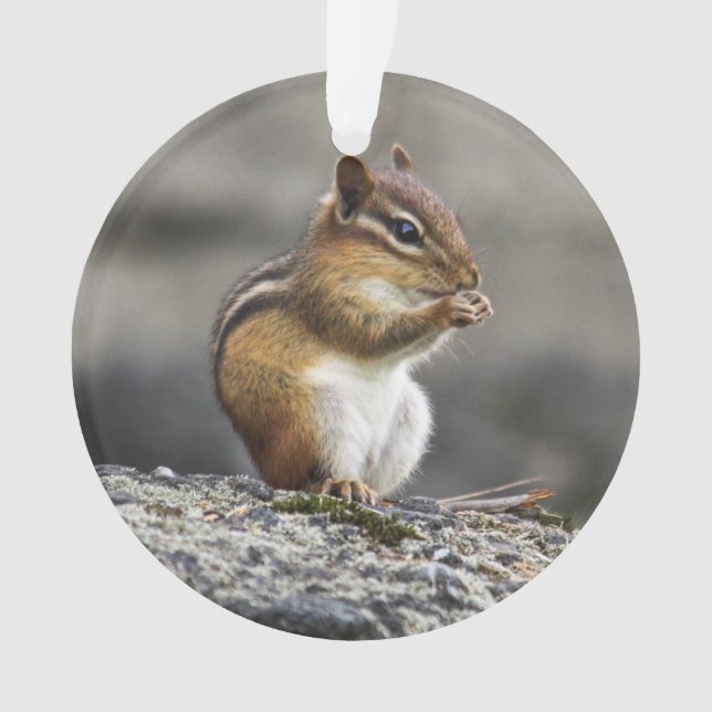 Ornamento Chipmunk oriental (Frente)