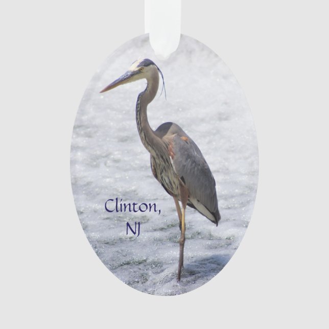 Ornamento Clinton Heron (Frente)