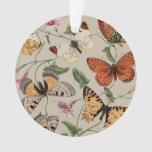 Ornamento Coleção de Desenhos de Mariposa Borboleta Natureza