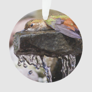 Ornamento Colibri que coloca na água