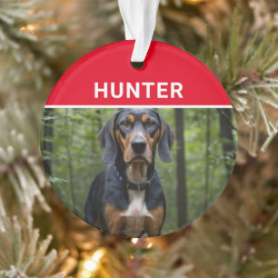 Ornamento Coonhound com nome de cachorro e foto de Natal
