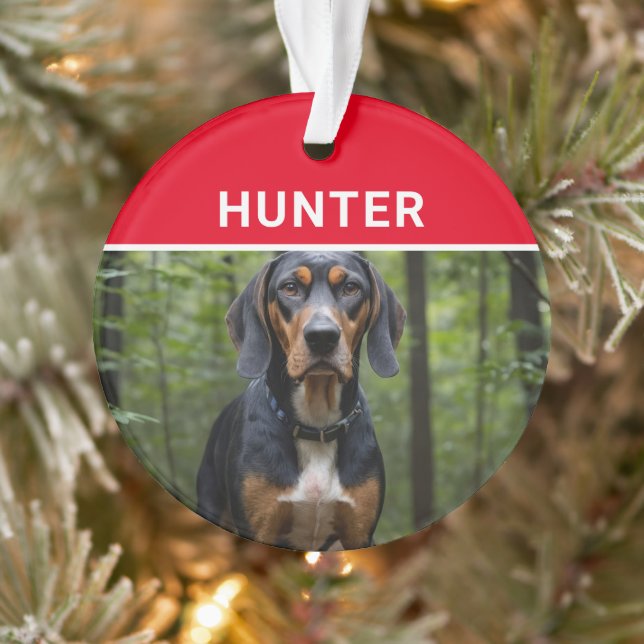 Ornamento Coonhound com nome de cachorro e foto de Natal (Árvore)