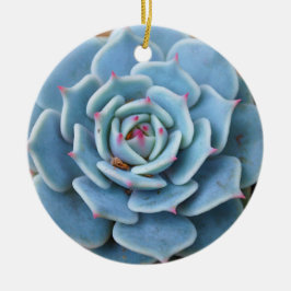 Ornamento cor-de-rosa do Succulent