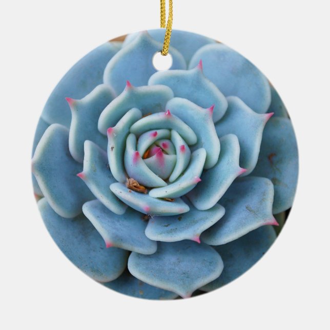 Ornamento cor-de-rosa do Succulent (Frente)