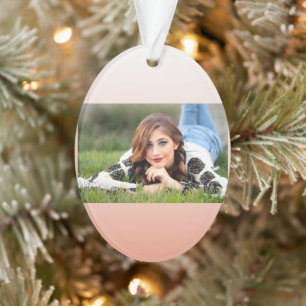 Ornamento cor primavera pastel cor pincel cor pincel cor-de-