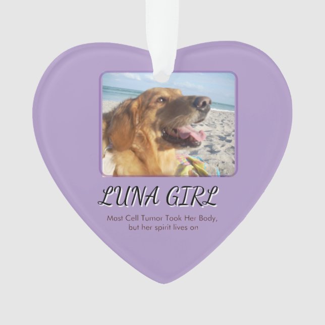 Ornamento Coração do Espírito Vivo Dela (Frente)