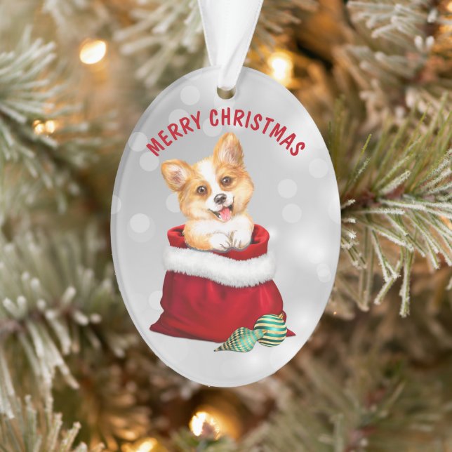 Ornamento Corgi Puppy Dog Surpresa Ornament (Árvore)