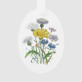Ornamento Cornuflores