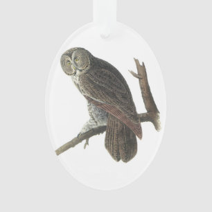 Ornamento Coruja de grandes cinzas por Audubon