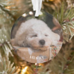 Ornamento Crie Personalizado Sua Própria Foto<br><div class="desc">Troque esta foto do meu cachorro Henry com sua própria foto de animais de estimação ou use a foto de Henry. Use sua família favorita ou qualquer coisa que você quiser. Adicione seu nome de animais de estimação se você usar sua foto de animal de estimação ou adicionar seu nome...</div>