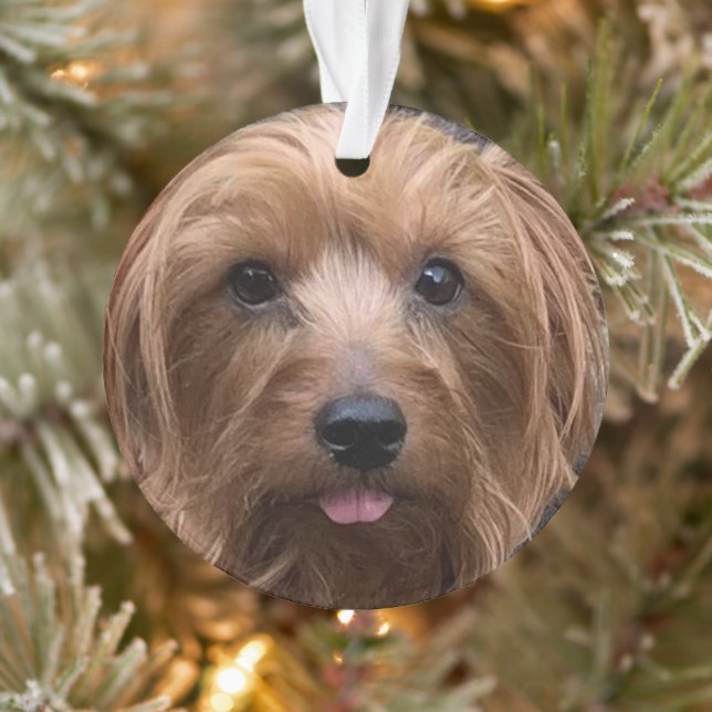 Ornamento Crie seu próprio cão Foto personalizada Pet Puppy (Árvore)