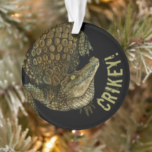 Ornamento Crocodilo Crikey!