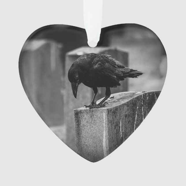 Ornamento Crow do Cemitério de Queda (Frente)