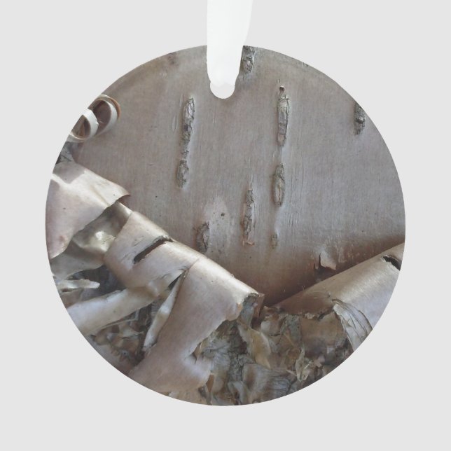 Ornamento Curly Birch Bark Tree Rustic (Frente)