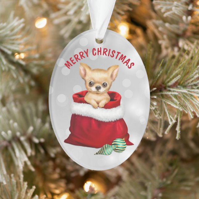 Ornamento Cute Chihuahua Puppy Dog Surpresa Ornament (Árvore)